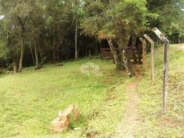 Sítio e chácara venda em Região Geográfica Imediata de Porto Alegre, Mariana Pimentel