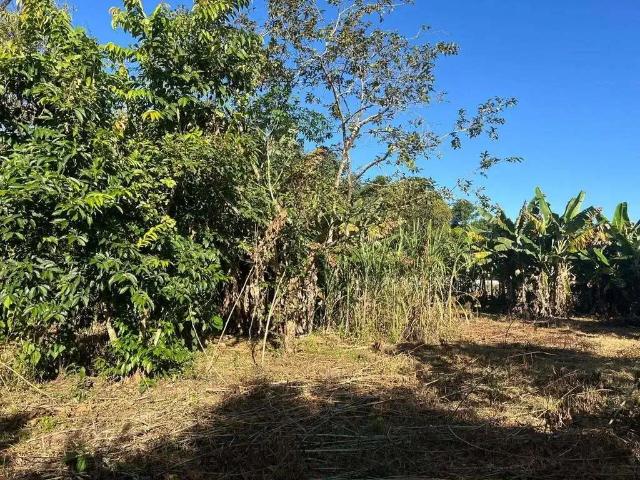Sítio e chácara venda em Região Geográfica Imediata de Santa Bárbara - Ouro Preto, Mariana