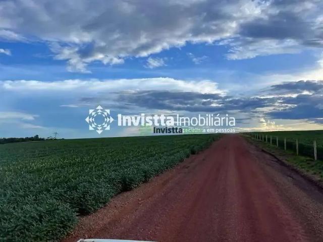 Sítio e chácara venda em Região Geográfica Imediata de Paraíso do Tocantins, Marianópolis do Tocantins