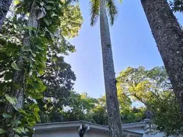 Sítio e chácara venda em Região Geográfica Imediata do Rio de Janeiro, Região Metropolitana do Rio de Janeiro