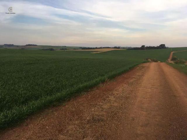 Sítio e chácara venda em Região Geográfica Imediata de Apucarana, Marilândia do Sul