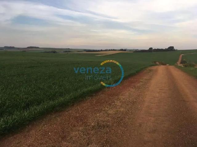 Sítio e chácara venda em Região Geográfica Imediata de Apucarana, Marilândia do Sul