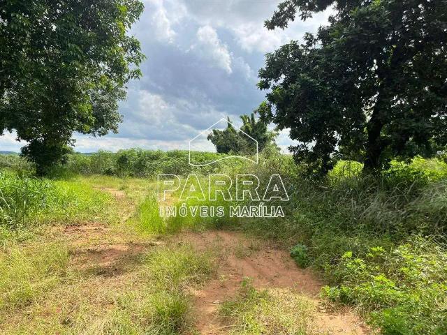 Sítio e chácara venda em Região Imediata de Marília, Marília