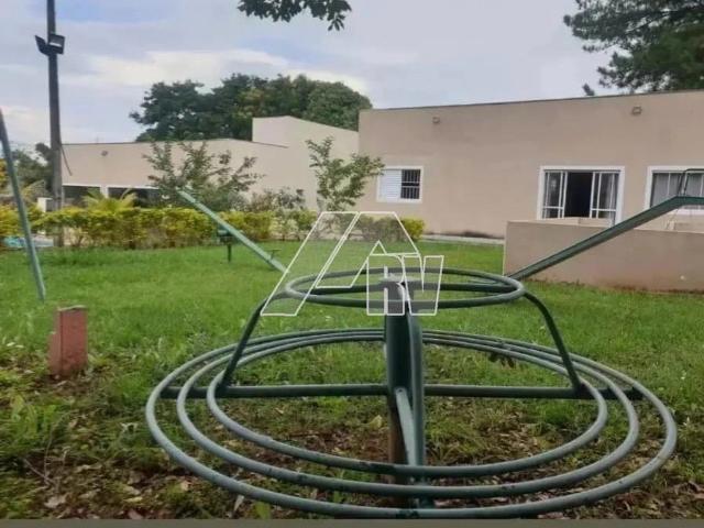 Sítio e chácara venda em Marília
