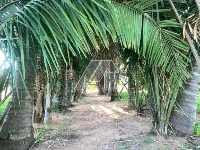 Sítio e chácara venda em Marília