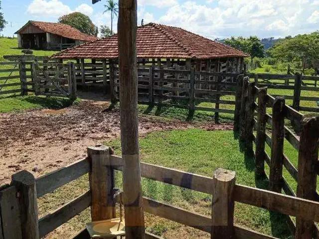 Sítio e chácara venda em Região Imediata de Marília, Marília