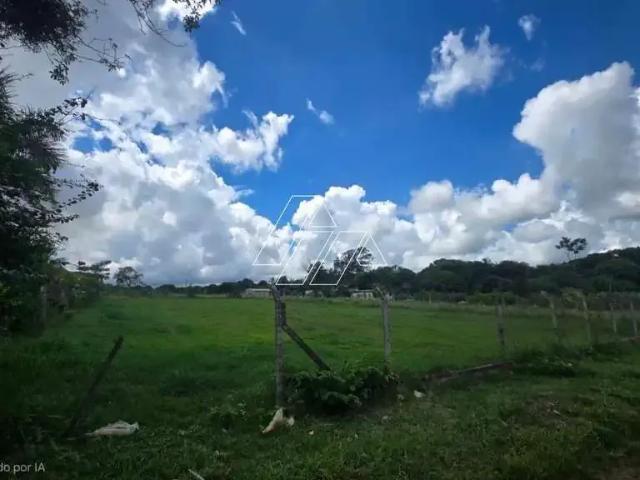 Sítio e chácara venda em Região Imediata de Marília, Marília