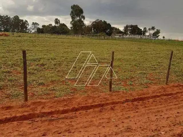 Sítio e chácara venda em Região Imediata de Marília, Marília