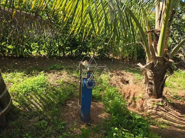 Sítio e chácara venda em Região Imediata de Marília, Marília