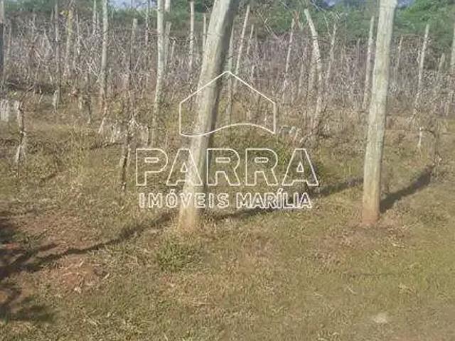 Sítio e chácara venda em Marília, Região Geográfica Intermediária de Marília