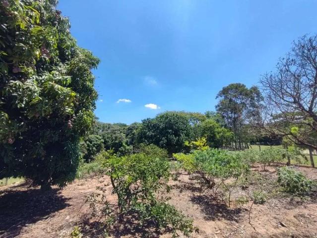 Sítio e chácara venda em Região Imediata de Marília, Marília