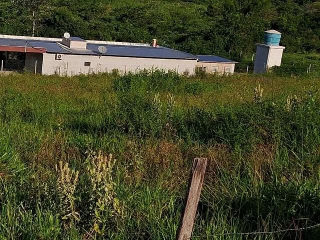 Sítio e chácara venda em Salto