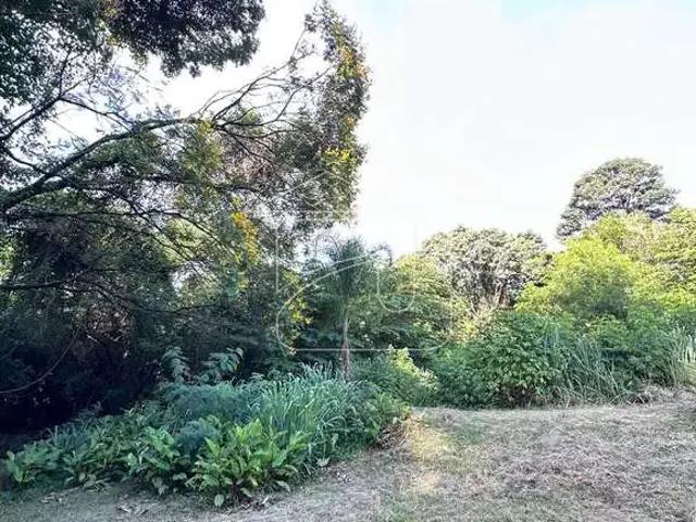 Sítio e chácara venda em Região Imediata de Marília, Marília