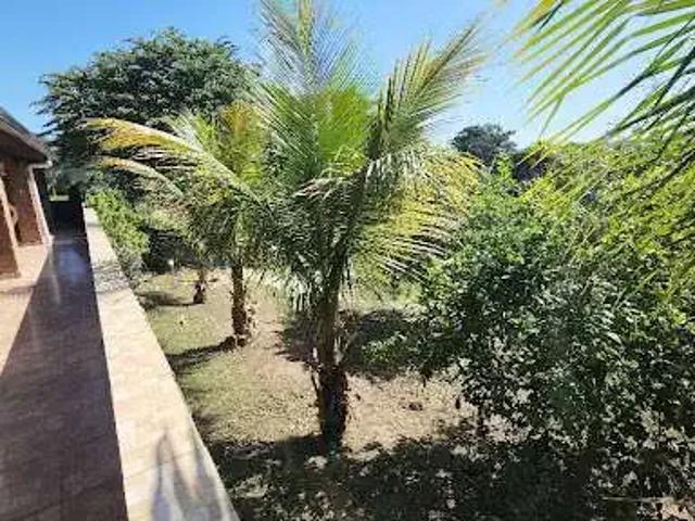 Sítio e chácara venda em Região Imediata de Marília, Marília