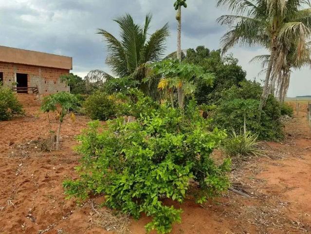 Sítio e chácara venda em Região Imediata de Marília, Marília