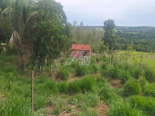 Sítio e chácara venda em Palmital, Marília