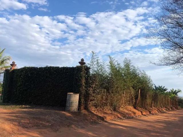 Sítio e chácara venda em Região Imediata de Marília, Marília