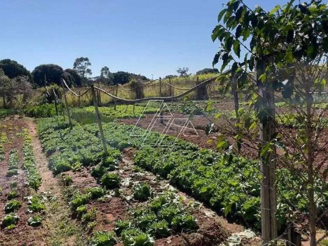 Sítio e chácara venda em Região Imediata de Marília, Marília