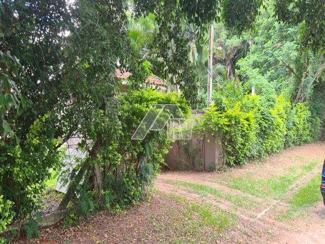 Sítio e chácara venda em Padre Nóbrega, Marília