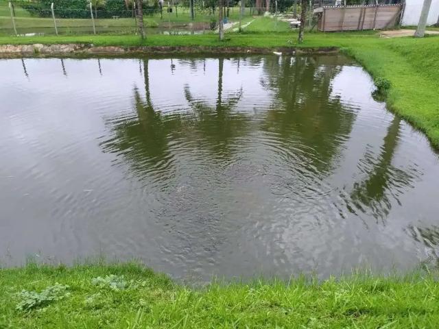 Sítio e chácara venda em Região Imediata de Marília, Marília