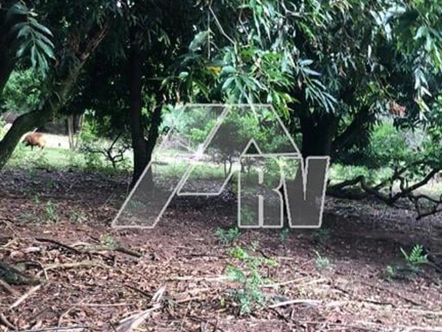 Sítio e chácara venda em Serra Dourada, Marília