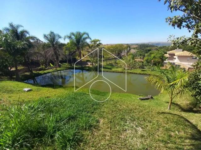 Sítio e chácara venda em Região Geográfica Imediata de Barreiras, Serra dourada