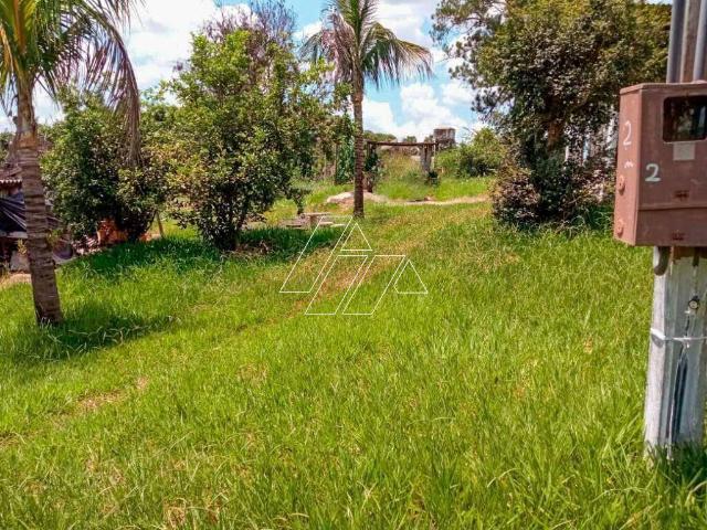 Sítio e chácara venda em Marília, Região Geográfica Intermediária de Marília