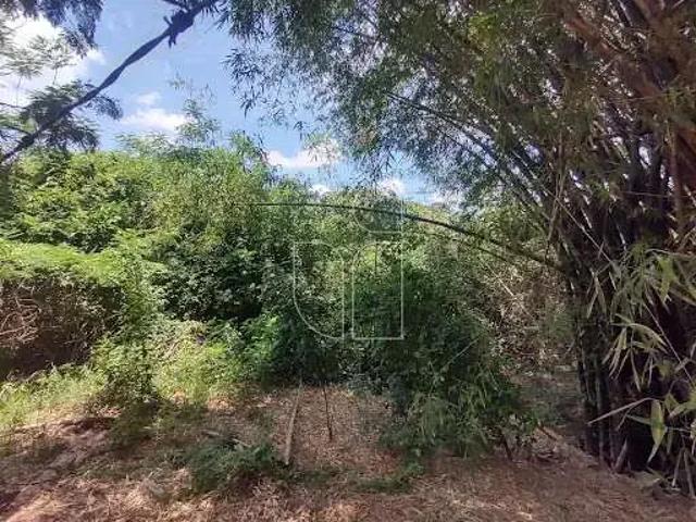 Sítio e chácara venda em Região Imediata de Marília, Marília