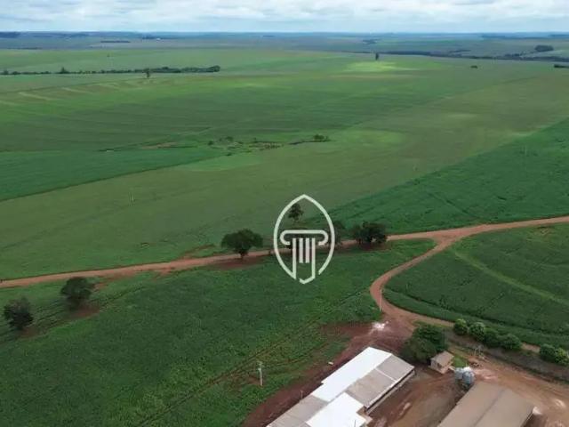 Sítio e chácara venda em Região Geográfica Imediata de Umuarama, Região Metropolitana de Umuarama