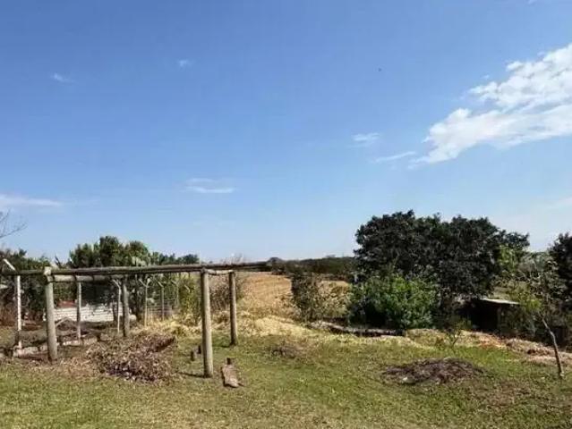 Sítio e chácara venda em Região Geográfica Imediata de Maringá, Maringá