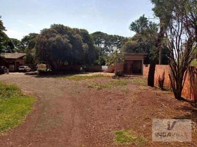 Sítio e chácara venda em Região Geográfica Imediata de Maringá, Maringá