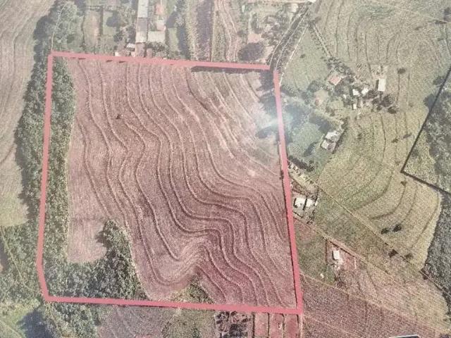 Sítio e chácara venda em Região Geográfica Imediata de Maringá, Maringá