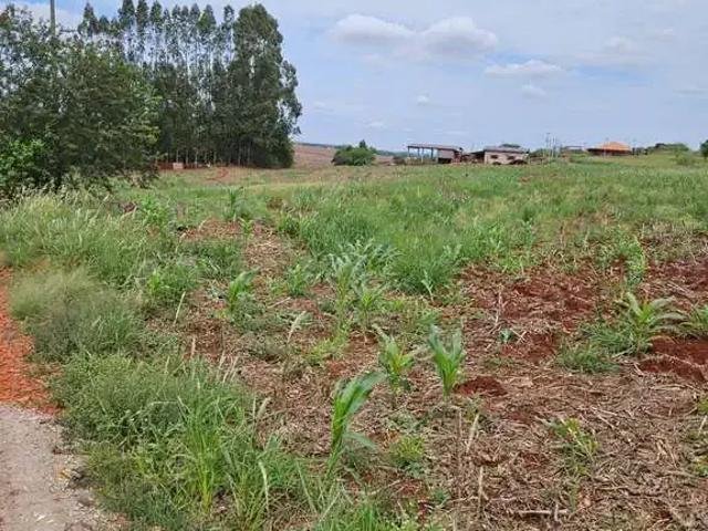 Sítio e chácara venda em Região Geográfica Imediata de Maringá, Maringá