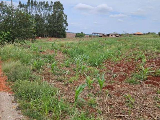 Sítio e chácara venda em Maringá, Região Geográfica Intermediária de Maringá
