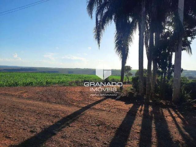 Sítio e chácara venda em Região Geográfica Imediata de Maringá, Maringá