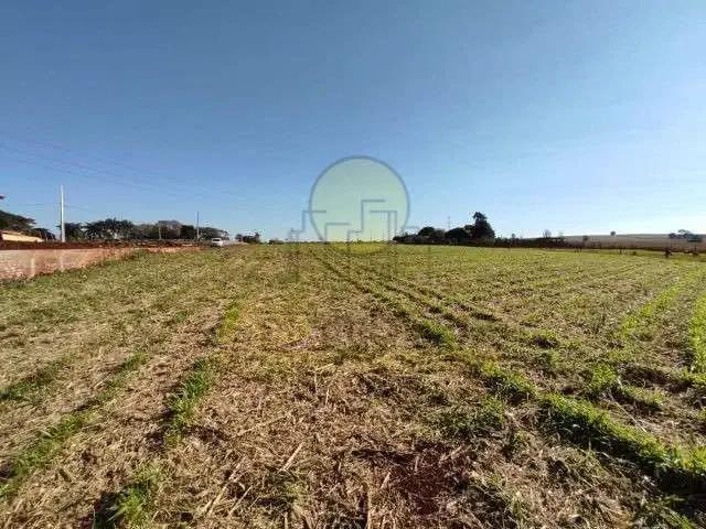 Sítio e chácara venda em Região Geográfica Imediata de Maringá, Maringá