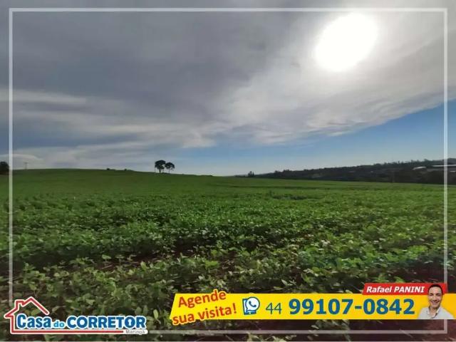 Sítio e chácara venda em Região Geográfica Imediata de Maringá, Maringá