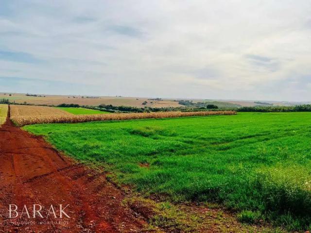 Sítio e chácara venda em Região Geográfica Imediata de Campo Mourão, Campo Mourão