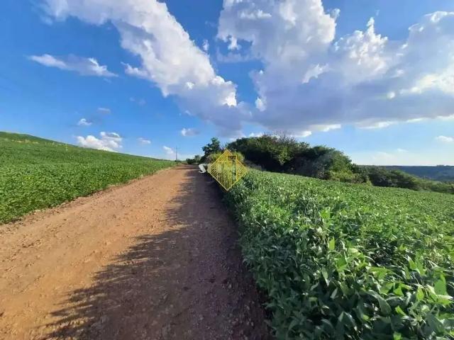 Sítio e chácara venda em Região Geográfica Imediata de Francisco Beltrão, Francisco Beltrão