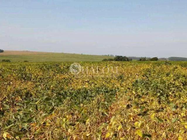 Sítio e chácara venda em Região Geográfica Imediata de Maringá, Maringá