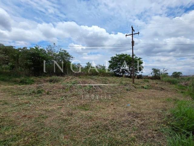 Sítio e chácara venda em Zona 01, Maringá