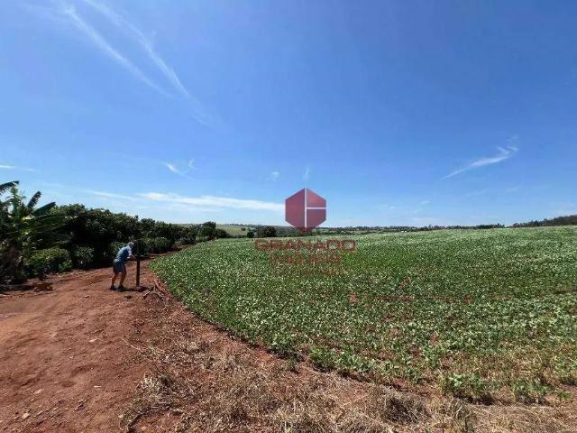 Sítio e chácara venda em Região Geográfica Imediata de Maringá, Maringá