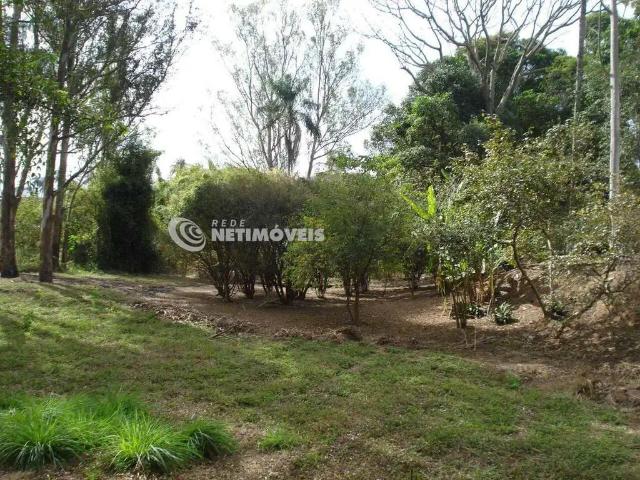 Sítio e chácara venda em Região Geográfica Imediata de Belo Horizonte, Região Metropolitana de Belo Horizonte