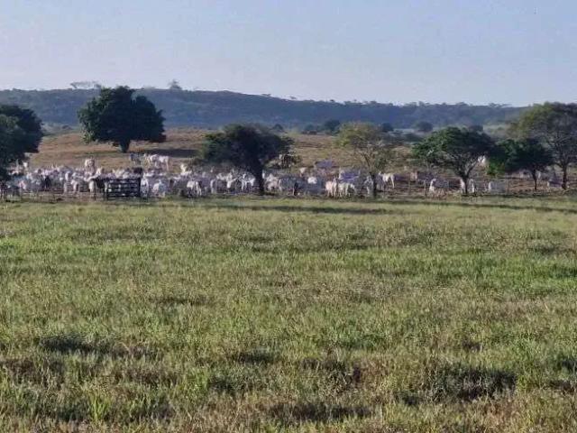 Sítio e chácara venda em Região Geográfica Imediata de João Pessoa, Mari