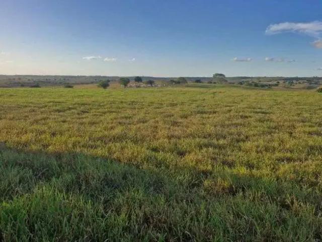 Sítio e chácara venda em Região Geográfica Imediata de João Pessoa, Mari