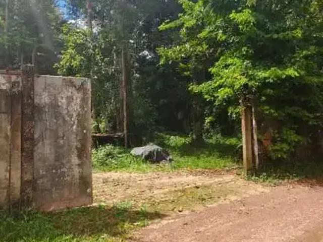 Sítio e chácara venda em Região Geográfica Imediata de Belém, Região Norte