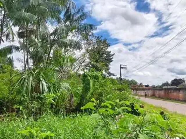 Sítio e chácara venda em Região Geográfica Imediata de Belém, Região Norte