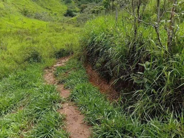 Sítio e chácara venda em Região Geográfica Imediata de Ipatinga, Marliéria