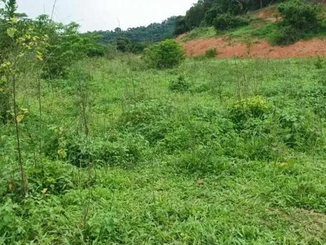 Sítio e chácara venda em Região Geográfica Imediata de Ipatinga, Marliéria