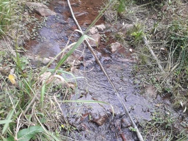 Sítio e chácara venda em Marmelópolis